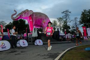 BIB: 
                            <button type="button" onclick="openModal(26529493)" class="btn btn-primary btn-sm float-right btn-popup" data-toggle="modal" data-target=".modal-high-quality">
                        <i class="fas fa-shopping-cart"></i> Add to Cart
                    </button>
                                            <button type="button" onclick="isThisMe(26529493, true)" class="btn btn-success btn-sm float-right btn-popup btn-isme hidden" data-toggle="tooltip" data-placement="bottom" title="นี่คือรูปของคุณใช่ไหม คลิกที่นี่เพื่อเอาเข้าอัลบั้ม">
                        <i class="fas fa-plus"></i> Add to album
                    </button>
                    <button type="button" onclick="isThisMe(26529493, false)" class="btn btn-warning btn-sm float-right btn-popup btn-isnotme hidden">
                        <i class="fas fa-ban"></i> Remove from album
                    </button>